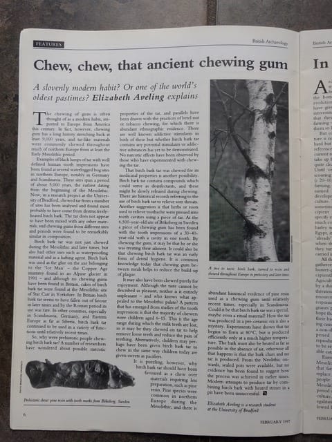 Article from British Aracheology